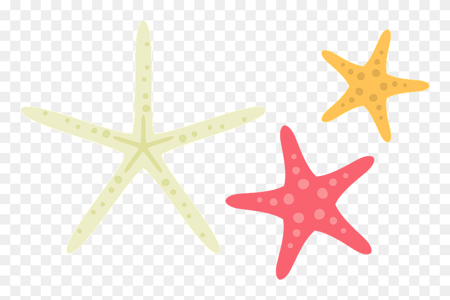 Starfish Sea Stars Clipart - Starfish - Png Download