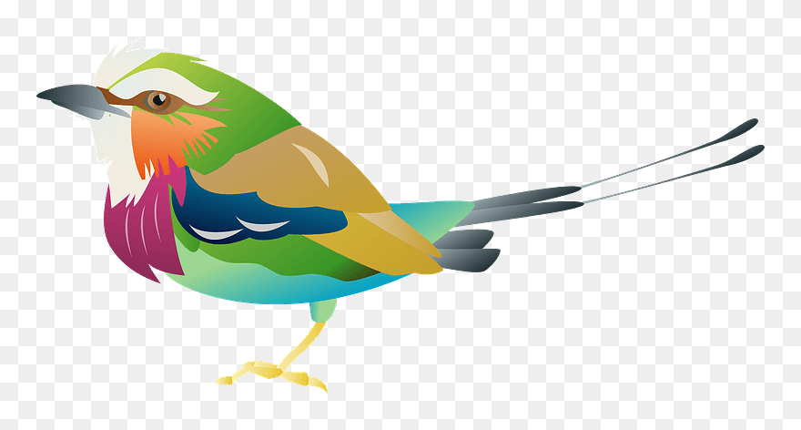 Lilac Breasted Roller Bird Clipart - Png Download