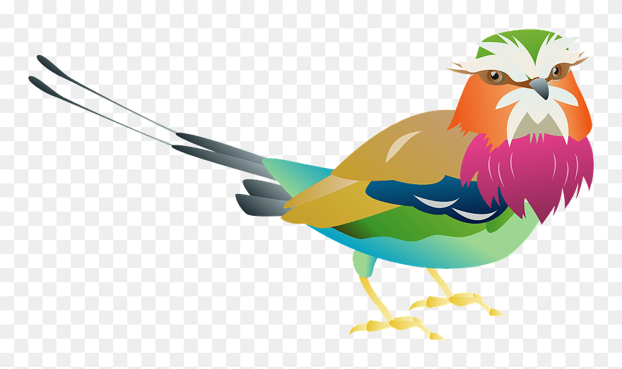 Lilac Breasted Roller Bird Clipart - Lilac-breasted Roller - Png Download