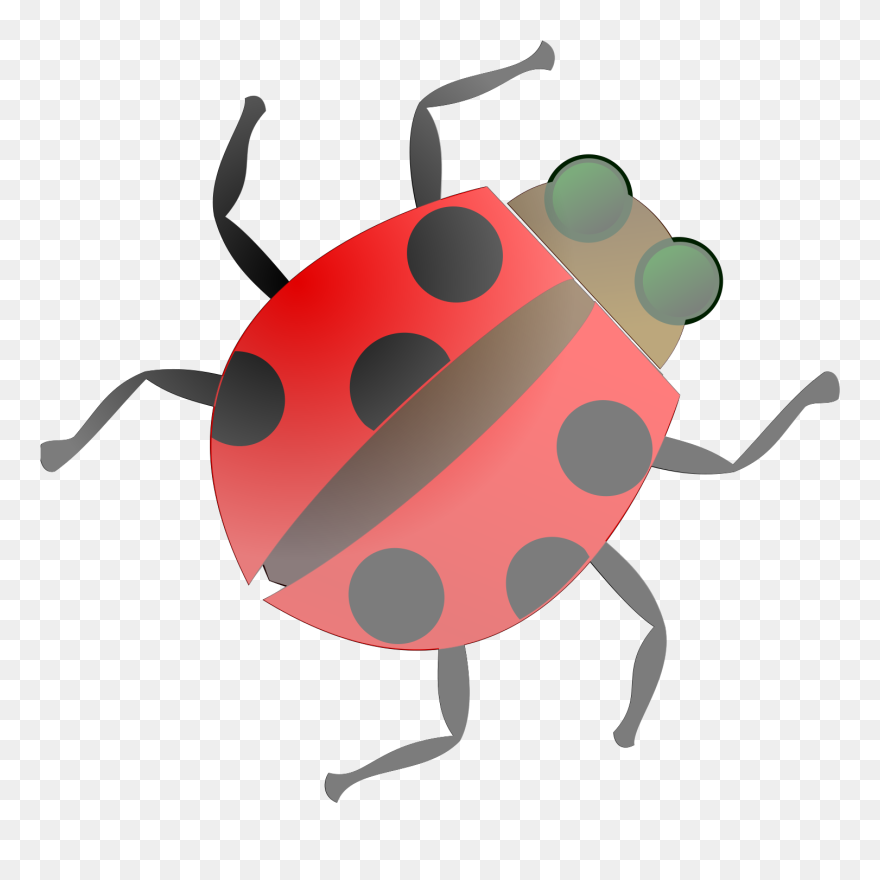 Bug Clipart Png Transparent Png