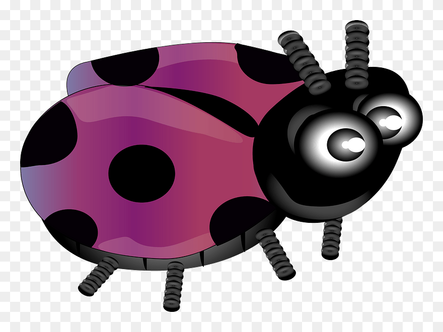 Purple Ladybug Clipart - 8 Ladybugs Cartoon - Png Download