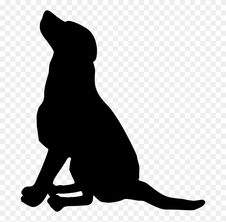 Labrador Retriever Pet Sitting Scotch Collie Greyhound - Dog Silhouette Clip Art - Png Download