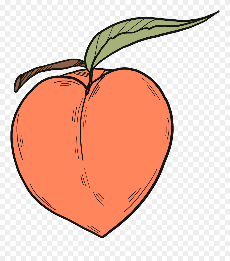 Peach Clipart - Png Download