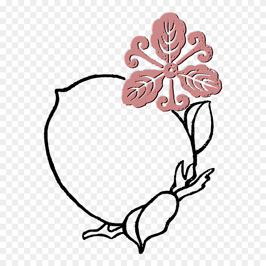 Peach Flower Frame - Clip Art - Png Download