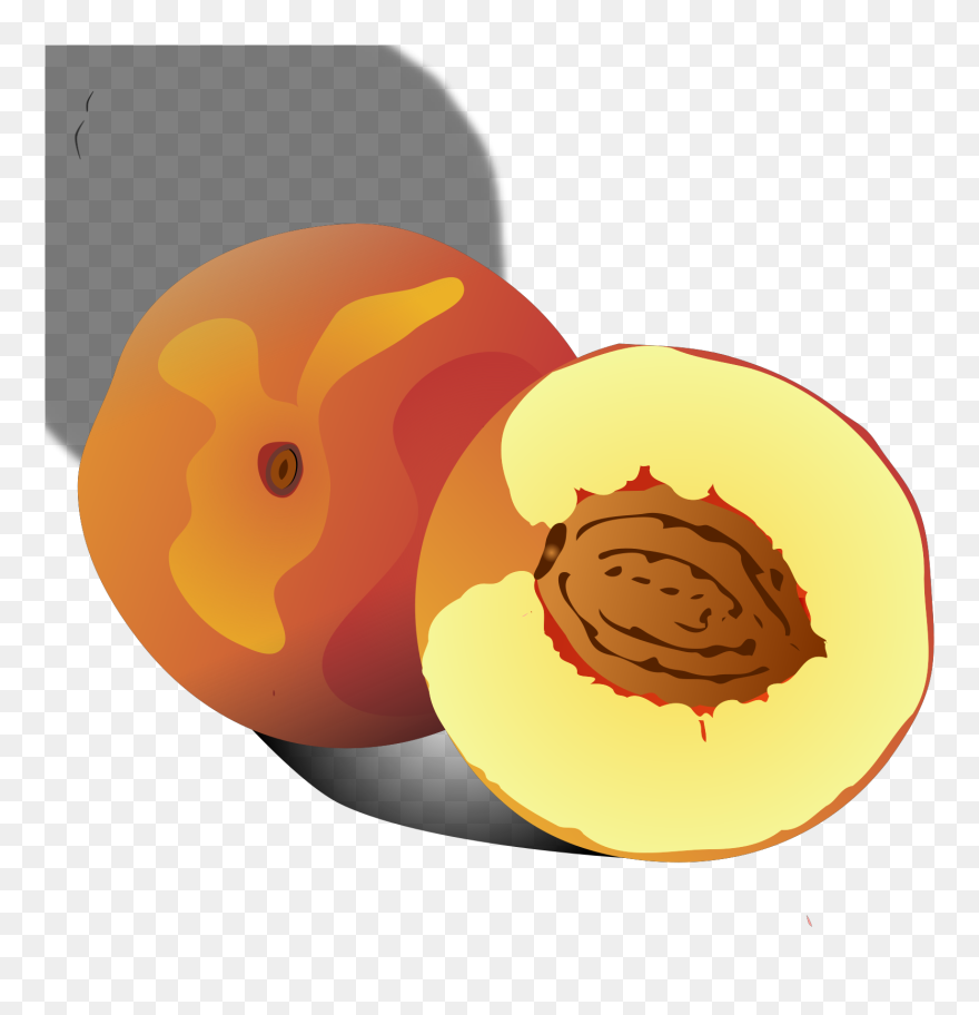 Vector Durazno Png Clipart