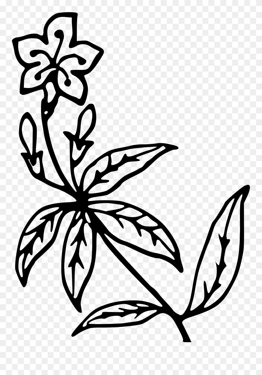 Symmetry,monochrome Photography,pollinator Clipart