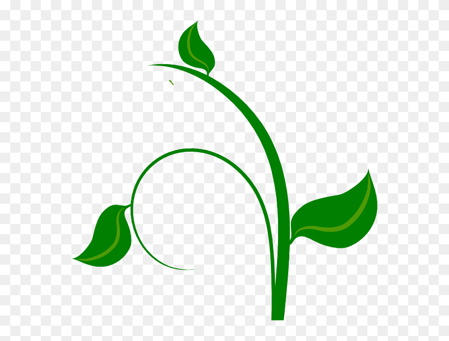 Transparent Vines Clipart - Clipart Green Leaf Png