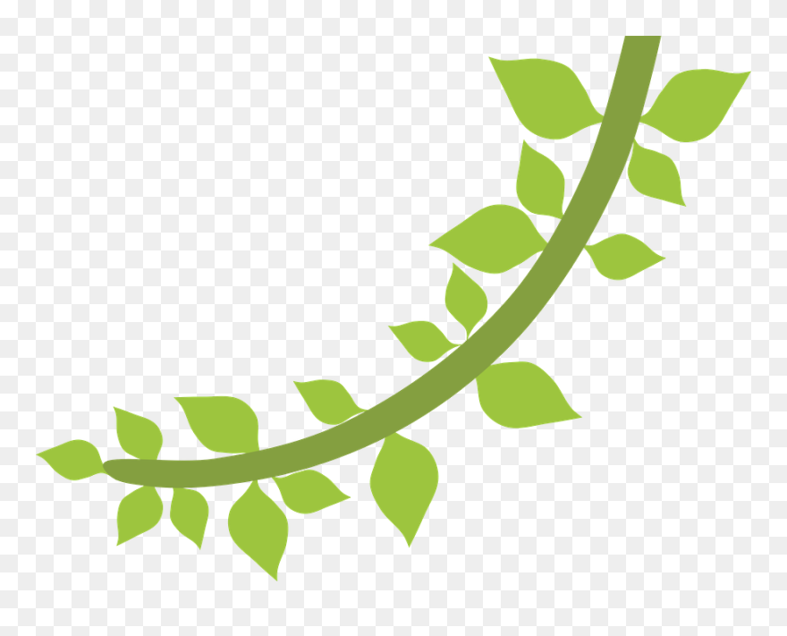 Safari Clipart Vine - Cipo Desenho Png Transparent Png