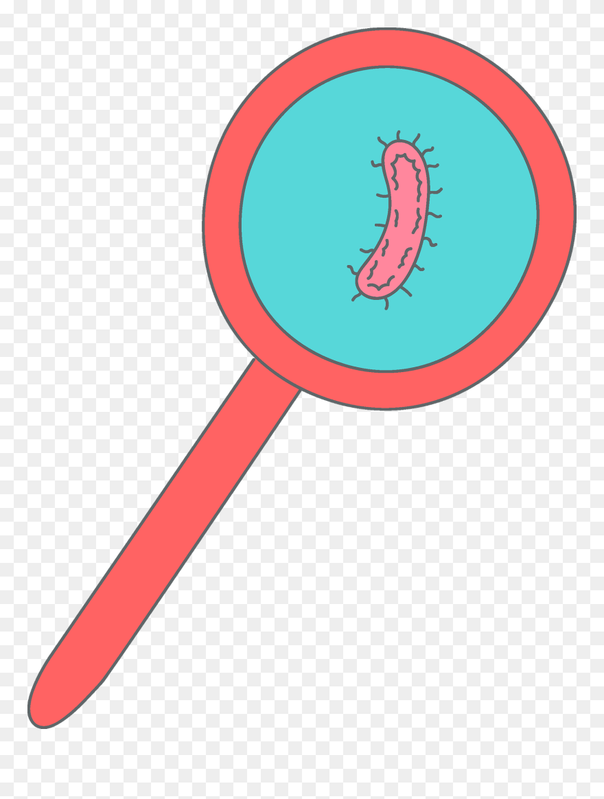 Bacteria In A Magnifying Glass Clipart - Bacteria Clipart - Png Download