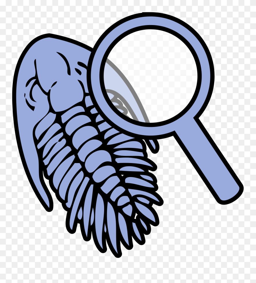 Fossils Trilobite Clipart - Png Download