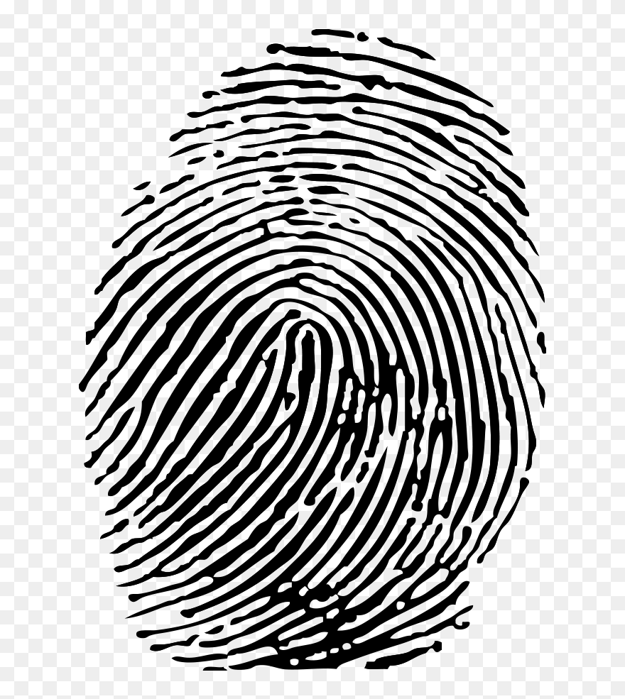 Fingerprint Png Download - Transparent Background Fingerprint Clipart