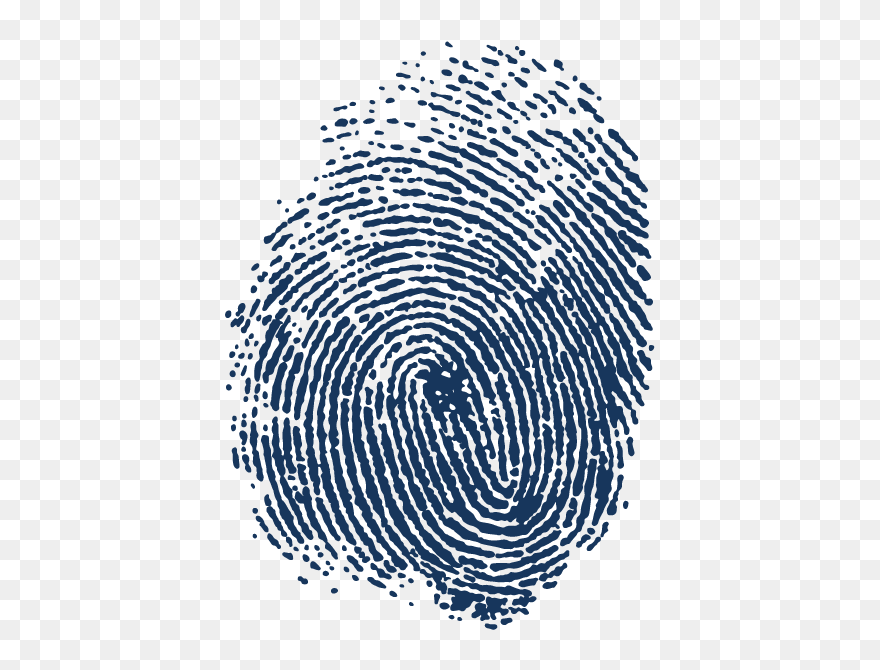 Automated Fingerprint Identification Spiral Adermatoglyphia - Fingerprint Png Clipart