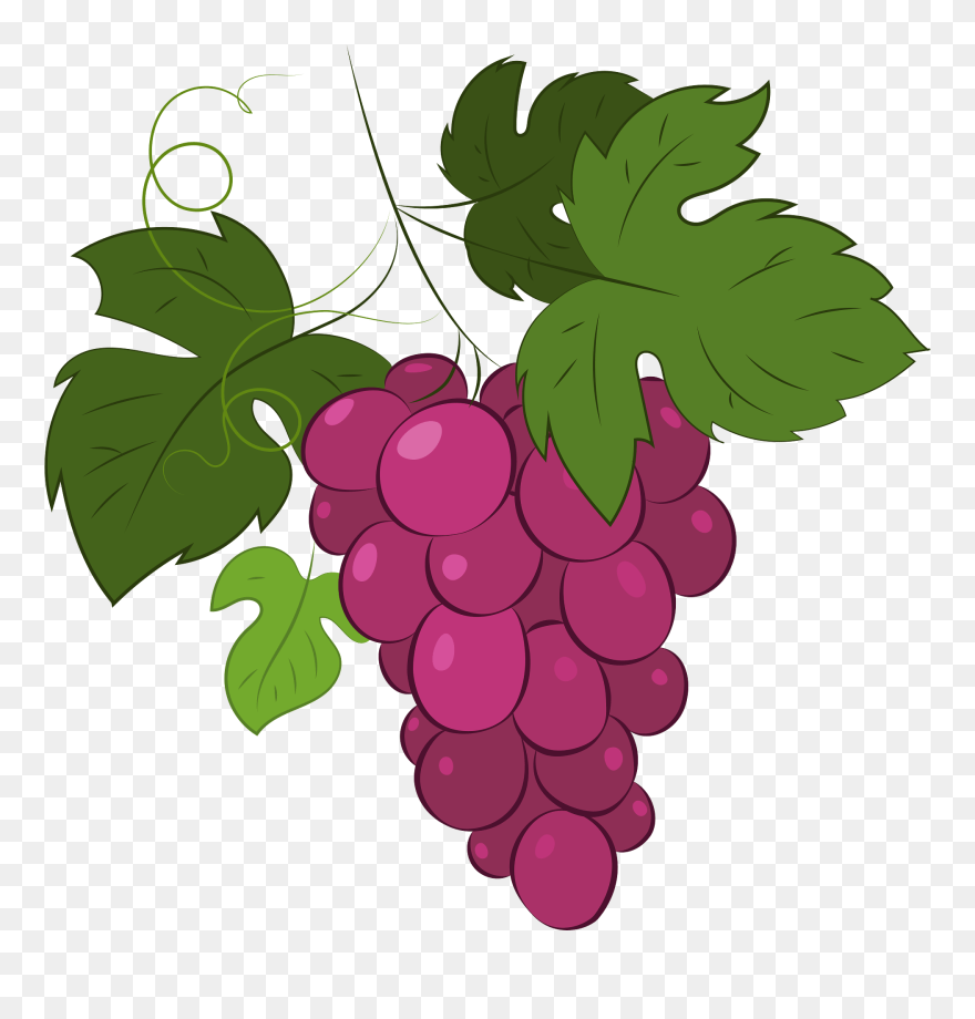 Grape Clipart - Seedless Fruit - Png Download