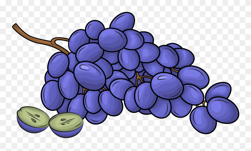 Black Grapes Clipart - Seedless Fruit - Png Download
