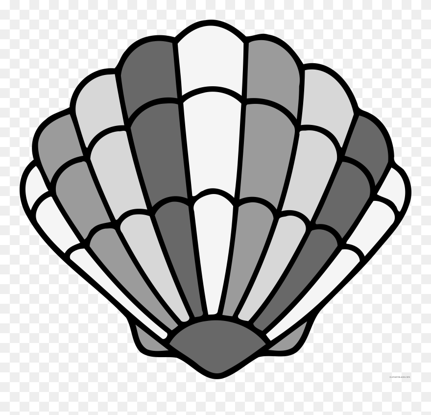 Seashell Animal Free Black White Clipart Images Clipartblack - Shell Black And White - Png Download