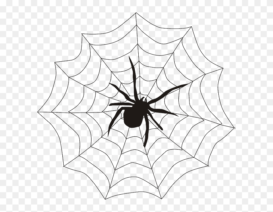 Spider In A Web Clipart - Png Download