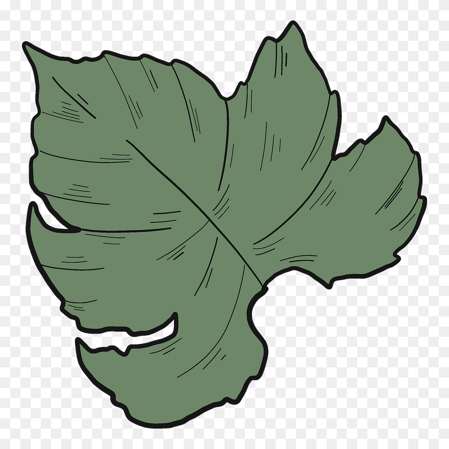 Grape Leaf Clipart - Png Download