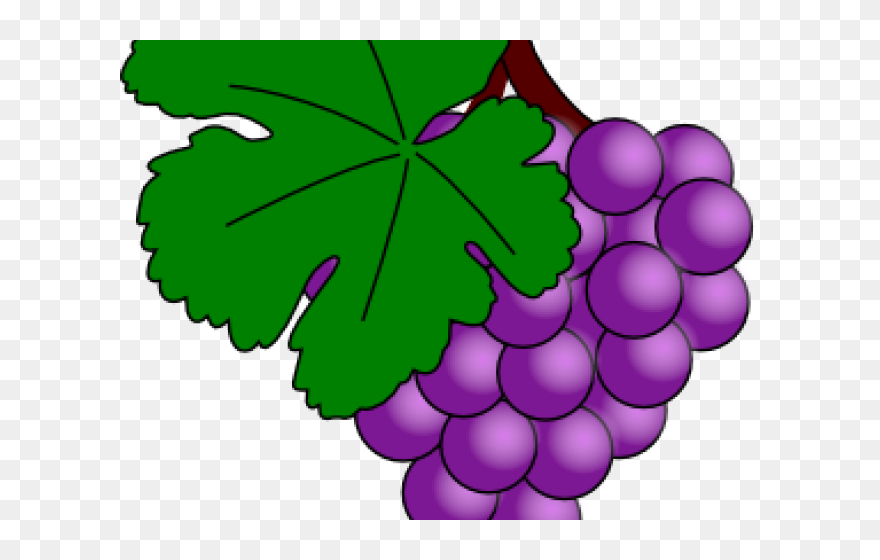 Grapes Clipart - Png Download