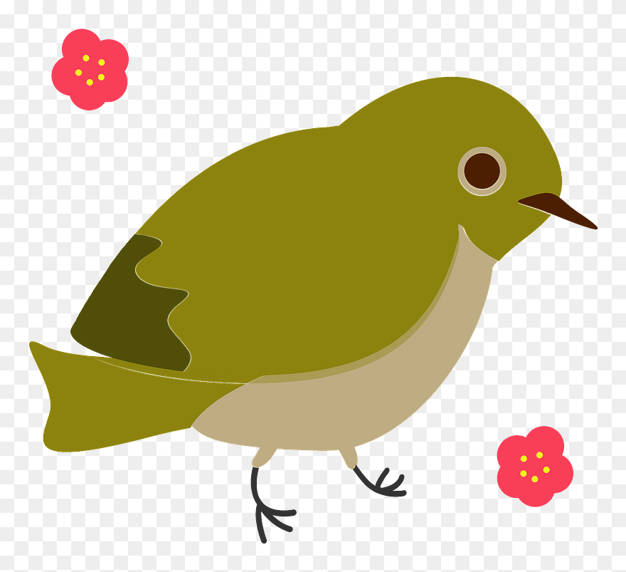 Silvereye Bird Clipart - 3 月 イラスト フリー - Png Download