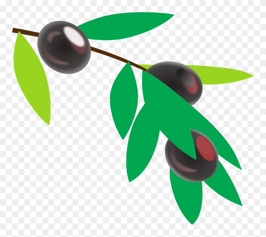 Olives On A Branch Clipart - Colombian Coffee Tree Cartoon - Png Download