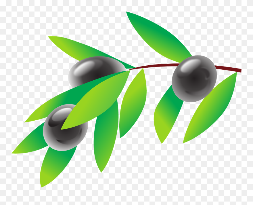 Computer Wallpaper,leaf,plant - Clip Art Of Olives - Png Download