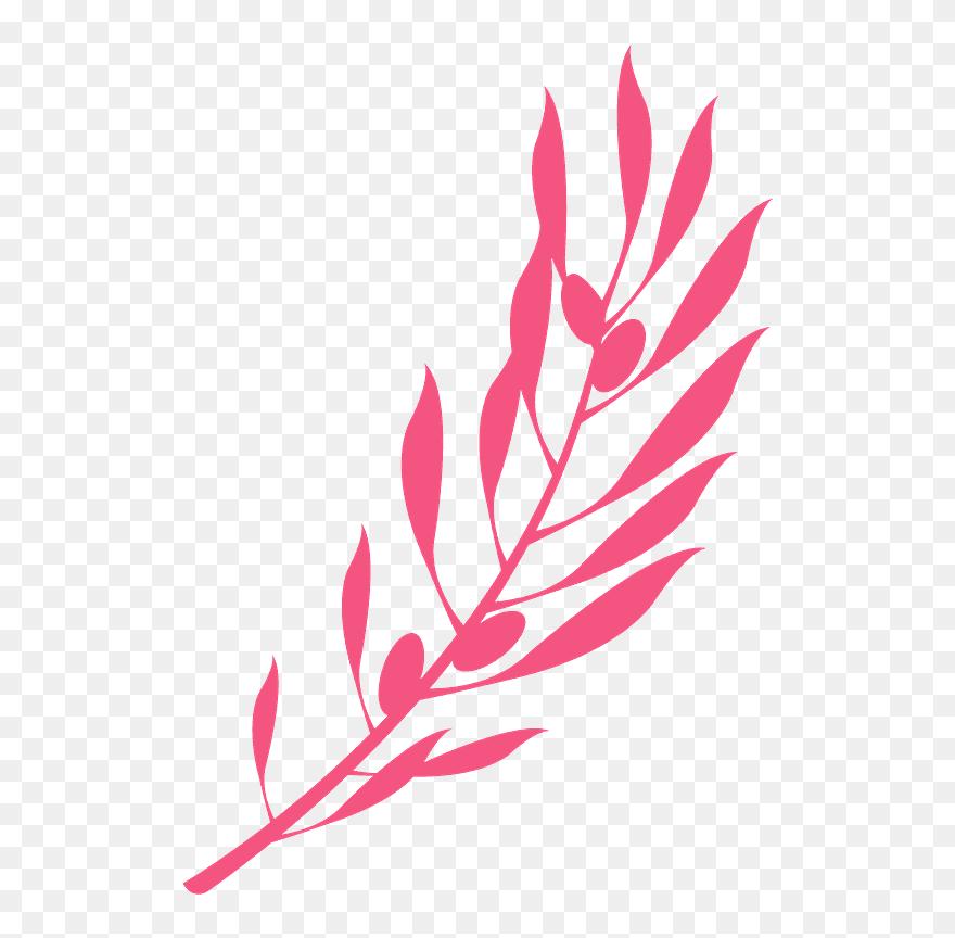 Olivos Vvector Rama Clipart