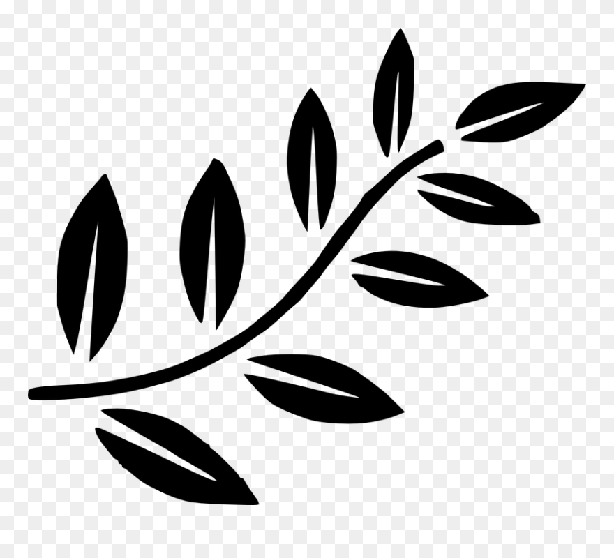 Thumb Image - Tree Branch Clip Art - Png Download