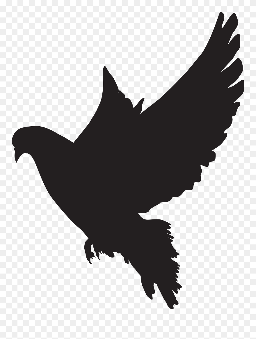 Columbidae Silhouette Dove Clip Art - Png Download