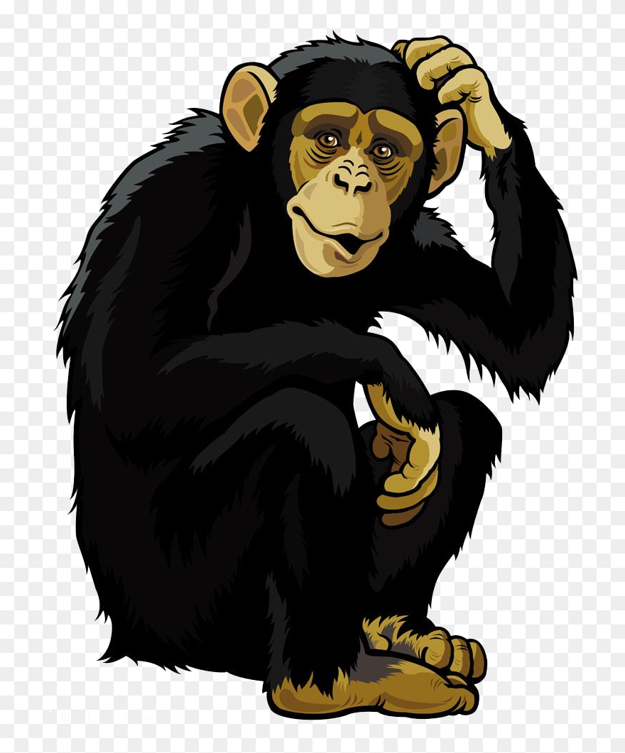 Orangutan Monkey Chimpanzee Clip Art - Chimpanzee Clipart - Png Download