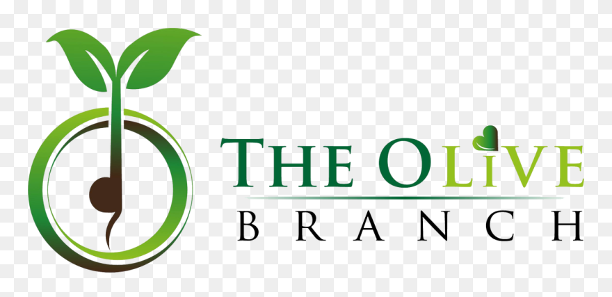 Transparent Olive Branch Clip Art - Png Download