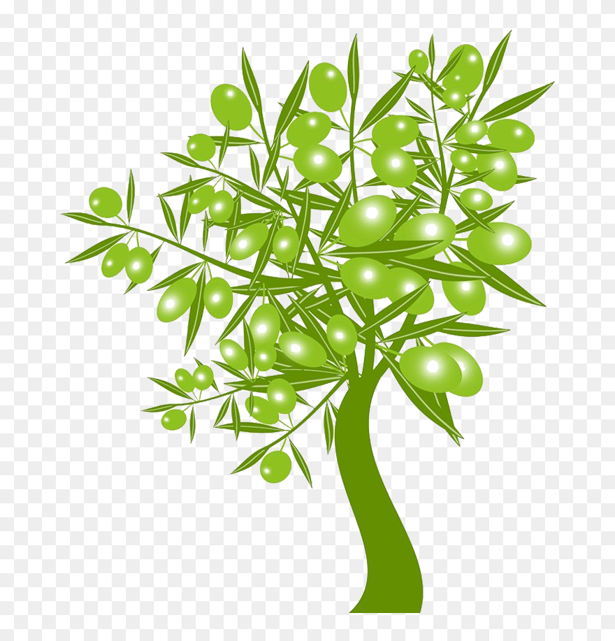 Olive Stock Photography Clip Art - Green Olive Tree - Png Download
