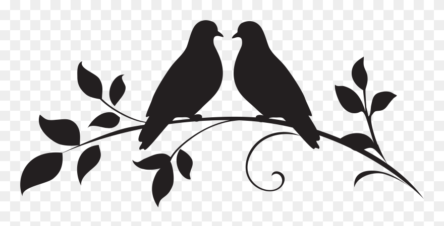 Dove Png Clipart Silhouette - Love Birds Clipart Black And White Transparent Png