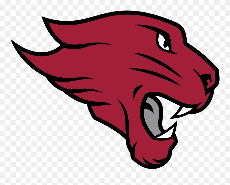 Cougar Logo - Mascot University Of Chicago Clipart