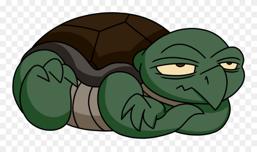 Turtle Cat Clipart Clip Download Galapagos Tortoise - Cortoon Tortose Eatibg - Png Download