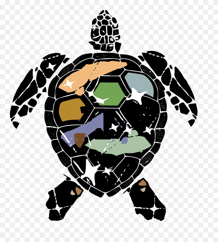 Hawksbill Sea Turtle Artwork From Wildlife - Illustration Clipart