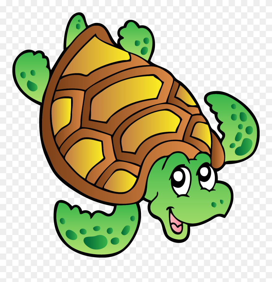 Turtle Images Cartoon Png Clipart