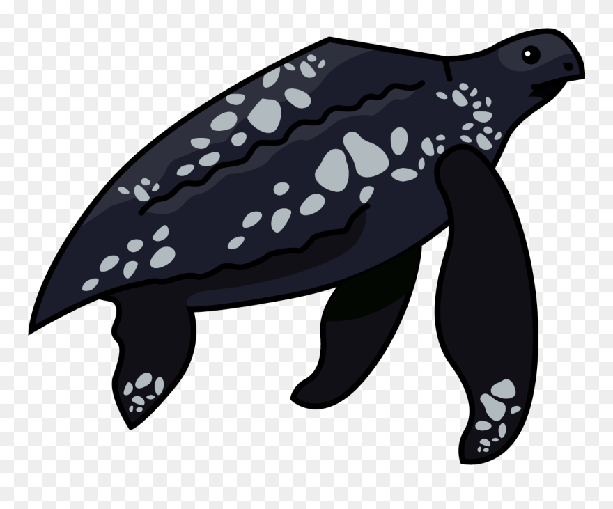 Leatherback Sea Turtle Clipart - Png Download