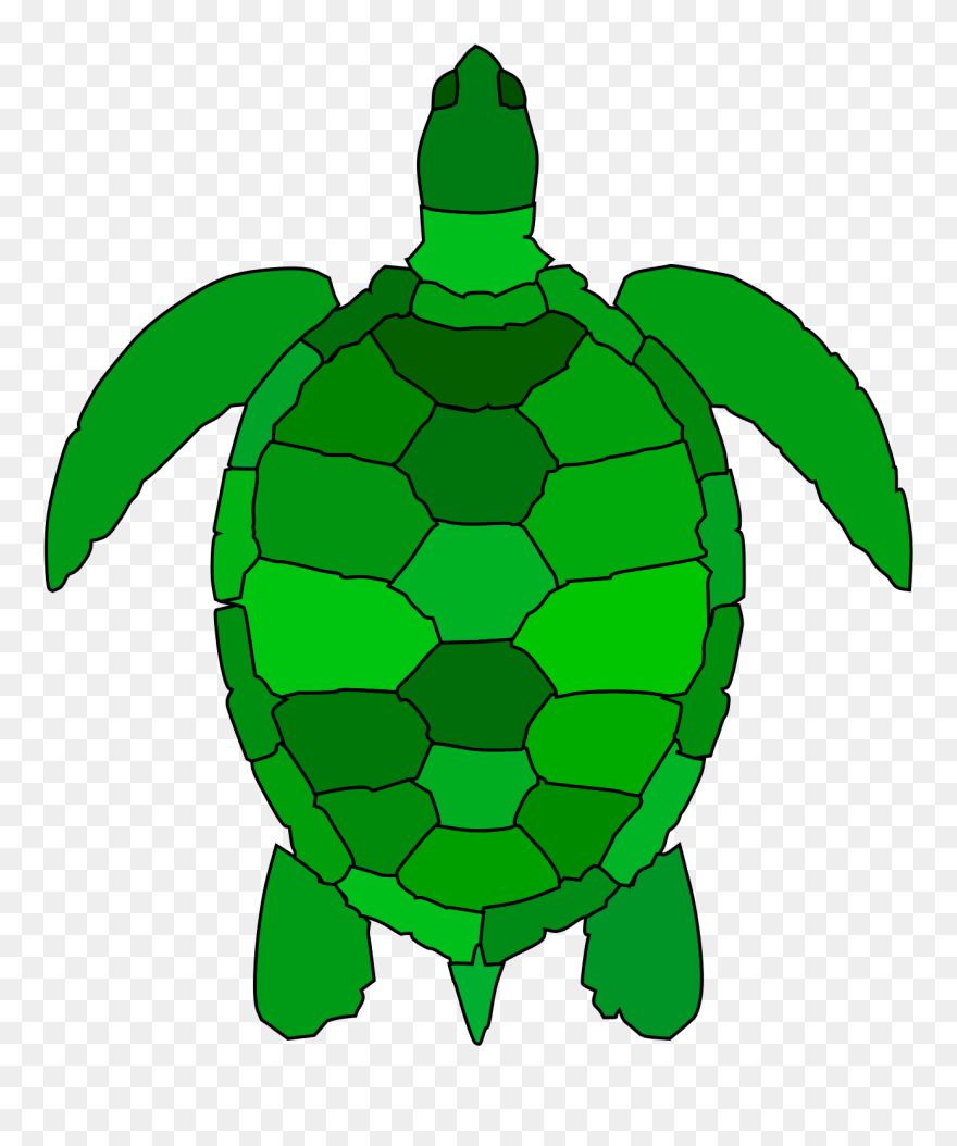 Green Sea Turtle Clipart - Png Download