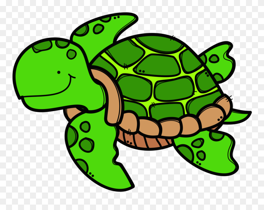 Sea Turtle Contents Png Clipart Transparent Png