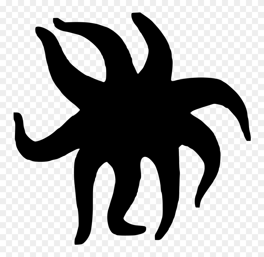 Starfish Clip Art - Sunflower Sea Star Drawing - Png Download