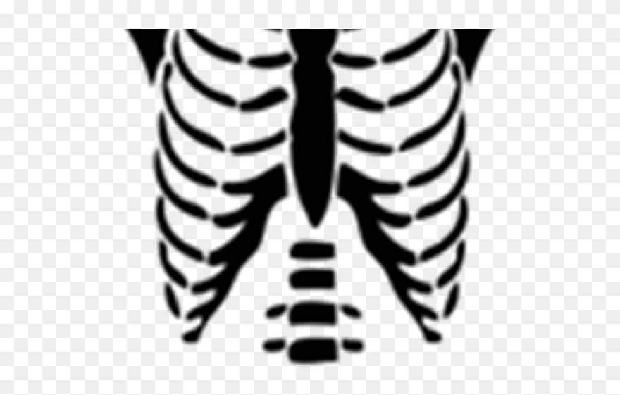 Skeleton Clip Art - Png Download