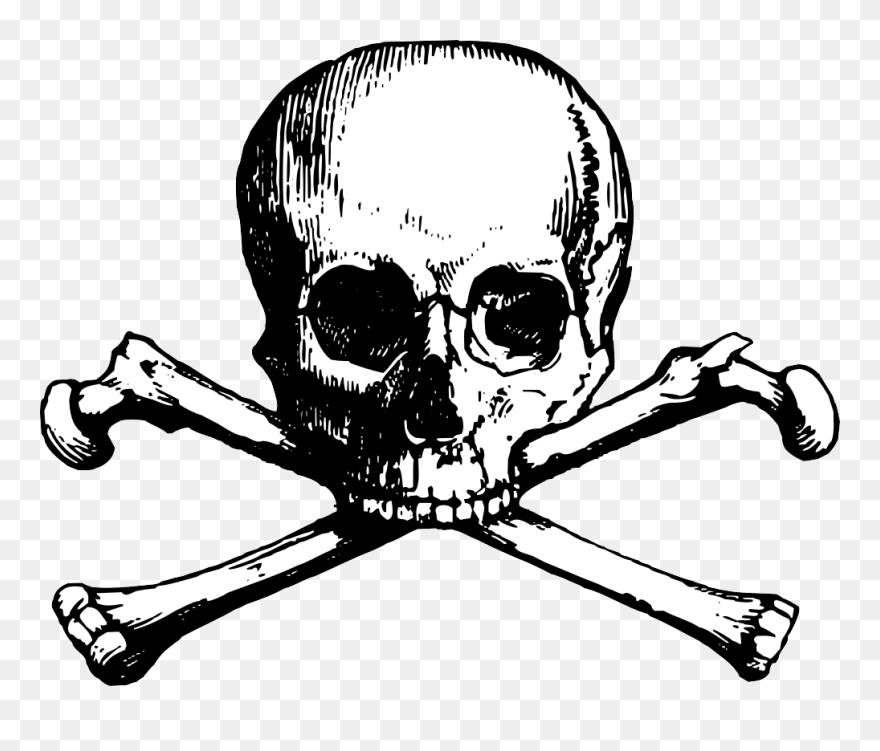 Transparent Background Skull Clipart - Png Download