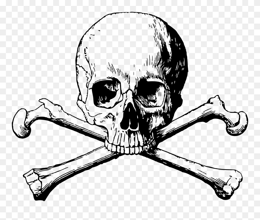 Skull And Bones Skull And Crossbones Calavera - Skull And Bones Png Clipart