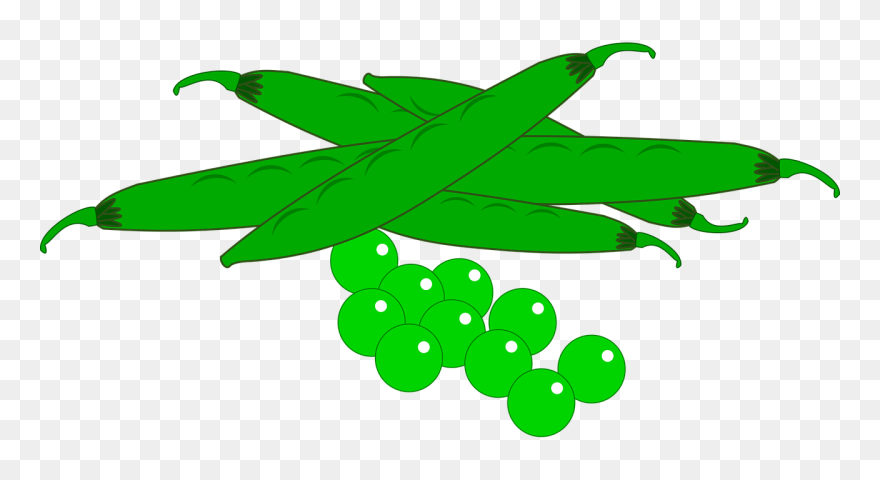 Garden Fresh Vegetables Food Free Photo From - Горох Вектор Пнг Clipart