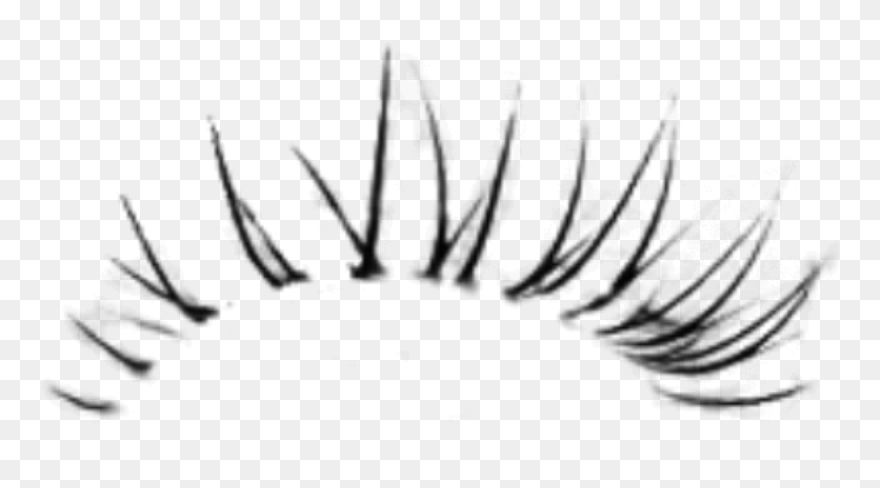 Transparent Unicorn Eyelashes Clipart - Eyelashes Png For Photoshop