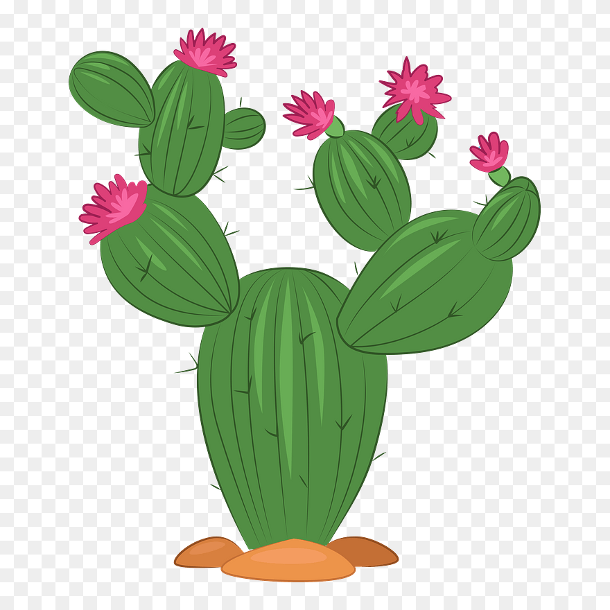 Cactus Clipart - Hedgehog Cactus - Png Download