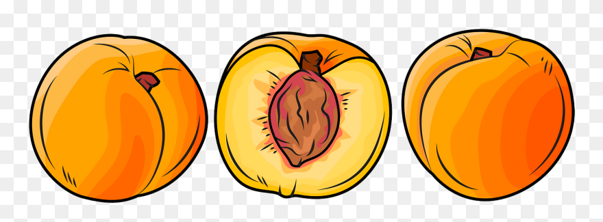 Free Download - Pumpkin Clipart