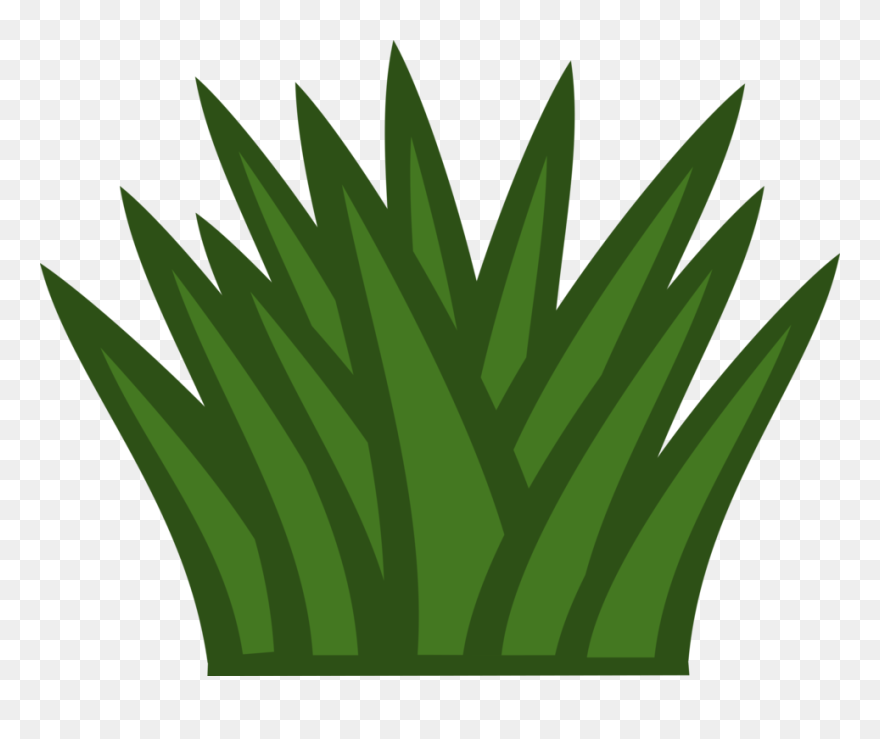 Cactus - Grass Clipart Black And White Png Transparent Png