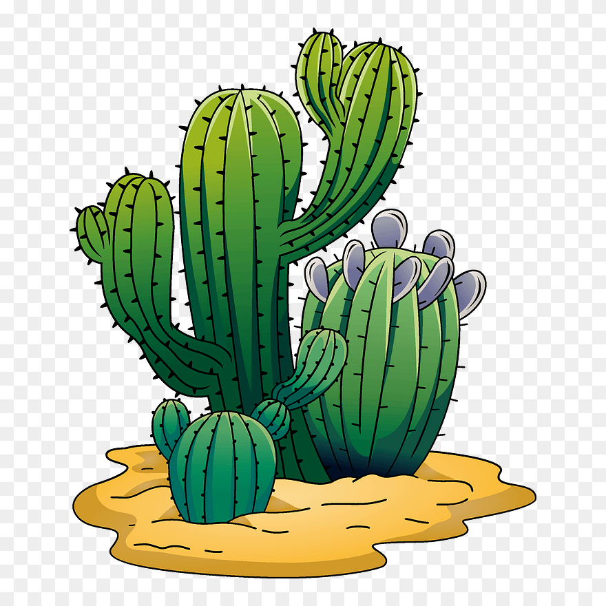 Cactus Clipart - Cactus - Png Download