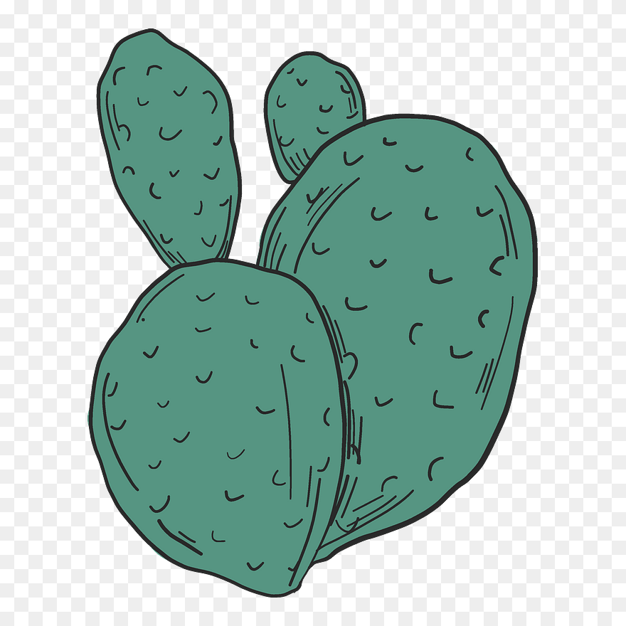 Cactus Clipart - Eastern Prickly Pear - Png Download